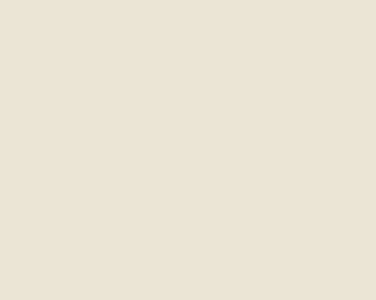 A plain, solid light beige background with no visible patterns or objects.