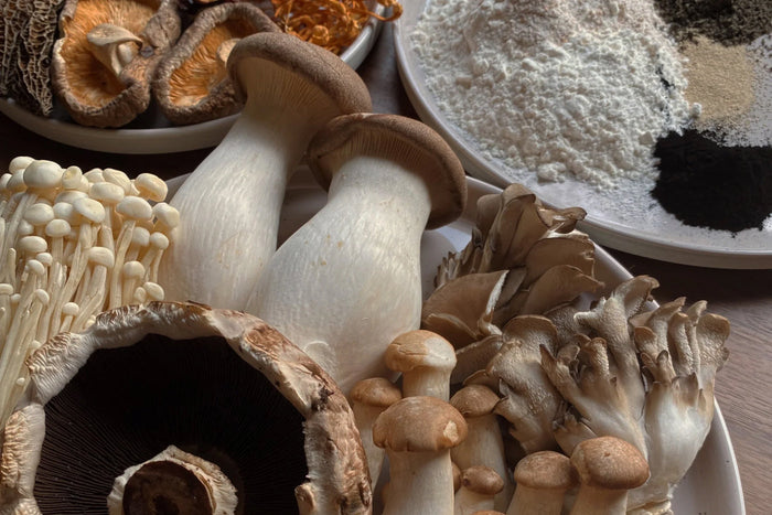 Zoey’s TCM Herbal Mushroom Stew with Black Sesame Buns