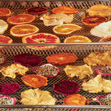 Two stacked metal dehydrator trays filled with various sliced dried fruits, including citrus, pineapple, dragon fruit, and persimmon.